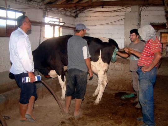 Yetkilileri göreve çağırıyoruz,Sunni Tohumlamada Telefonlu vurgun iddiası araştırılsın