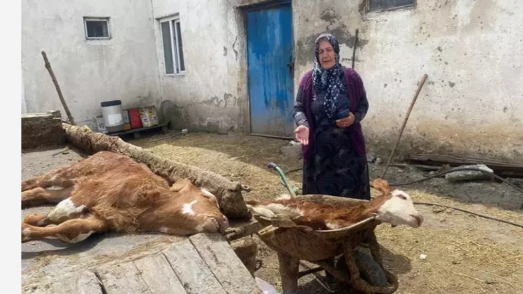 KÖYLÜ SUÇLU!!!