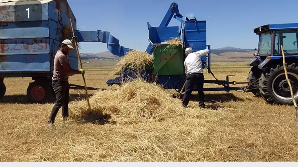 “Ardahan’da Hasat Umutsuzluğu”