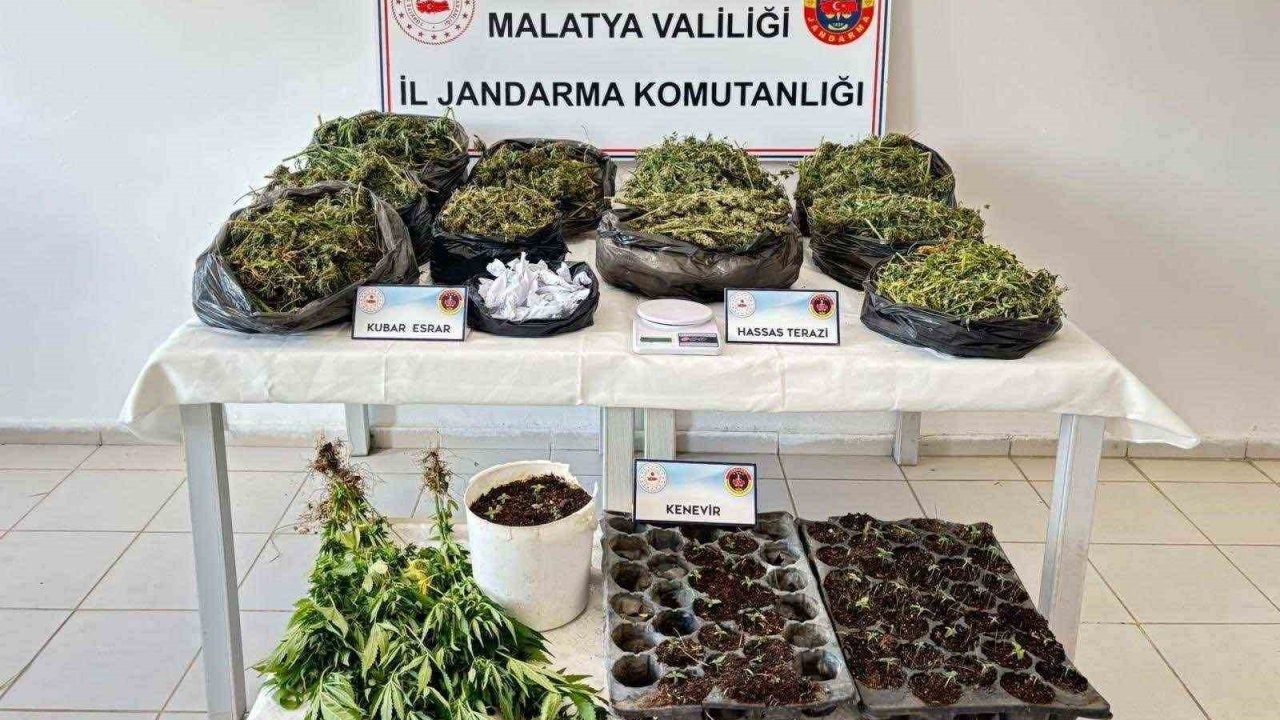 13 kilo esrar ele geçirildi: 5 şahıs tutuklandı