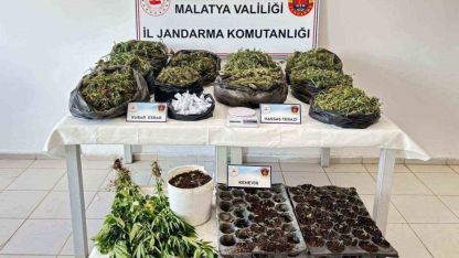 13 kilo esrar ele geçirildi: 5 şahıs tutuklandı