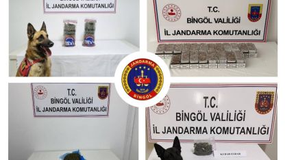 Bingöl’de jandarma ekipleri huzur ve güven için sahada