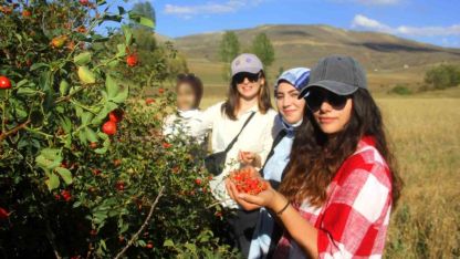 Daldan kavanoza kuşburnunun hikayesi