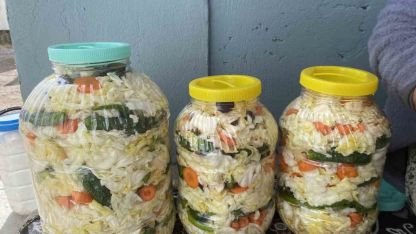 Ağrılı kadınların geleneksel turşu kurma mesaisi başladı