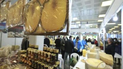 Ardahan Tanıtım Günleri Festivali başladı Serhat Ardahanspor standı sahipsiz kaldı!