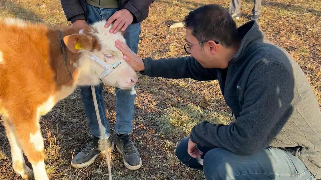 Başkan Çamlıyurt’tan üreticiye moral ziyareti