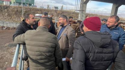 Damızlık Birliği Başkan adayı Özgür Sarıkaya hayvan pazarında çiftçinin sorunlarını dinledi