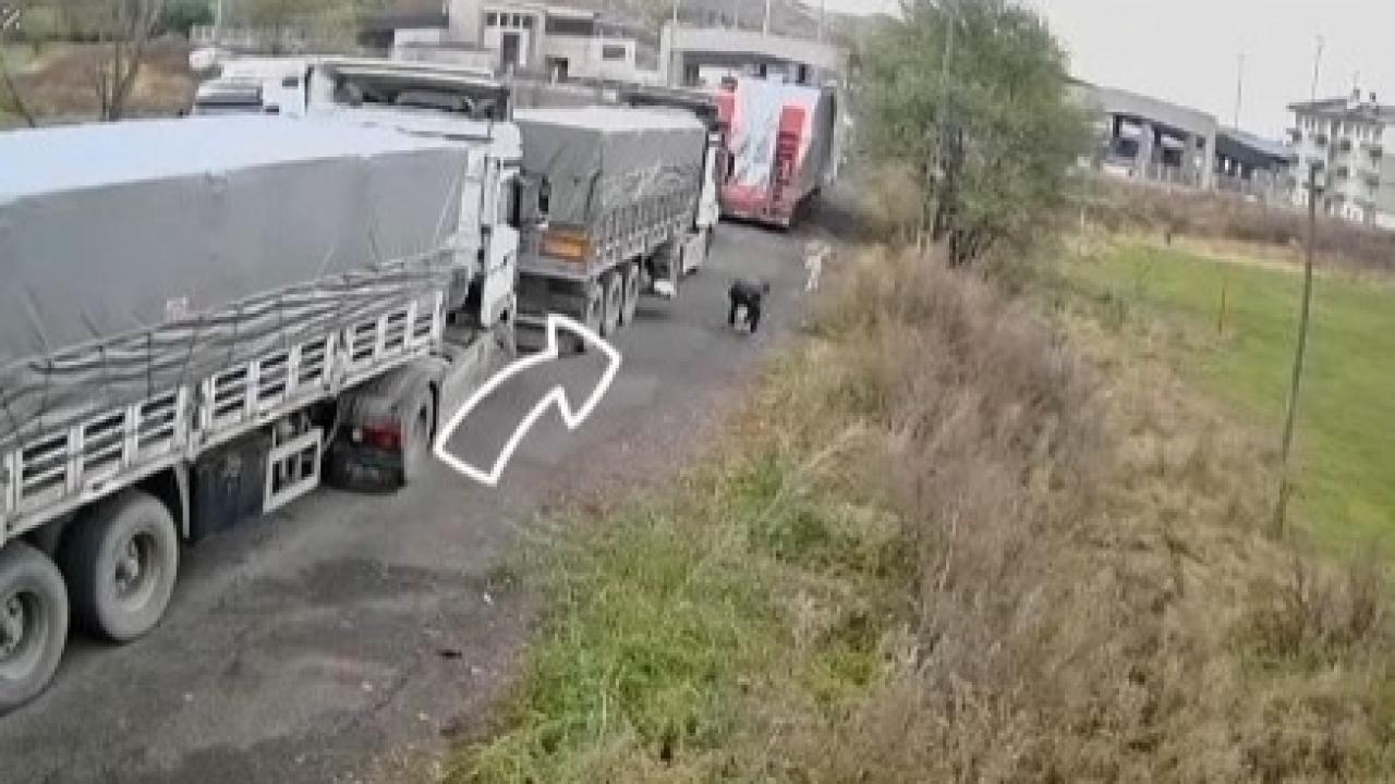 Posof'ta tır şoförlerine para cezası yağdı!