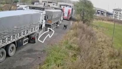 Posof'ta tır şoförlerine para cezası yağdı!