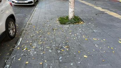 Ardahan’da Ekim Soğukları Etkili Oldu, Ağaçlar Yaprak Dökmeye Başladı