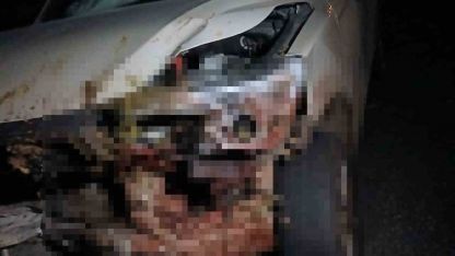 Elazığ’da kamyonet sürüye çarptı: 30 küçükbaş hayvan telef oldu