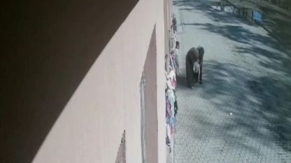 Öğrencisinin boğazına kaçan şekeri heimlich manevrasıyla çıkardı