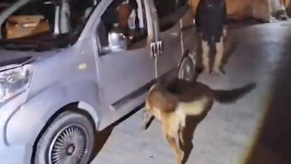 Bitlis’teki uyuşturucu operasyonunda 1 kişi tutuklandı