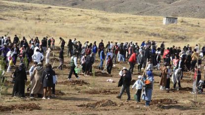 Bitlis’te milli ağaçlandırma seferberliği