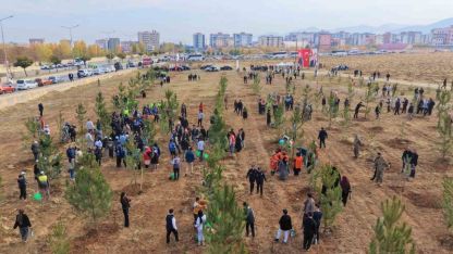 Muş’ta 20 bin fidan toprakla buluşturuldu