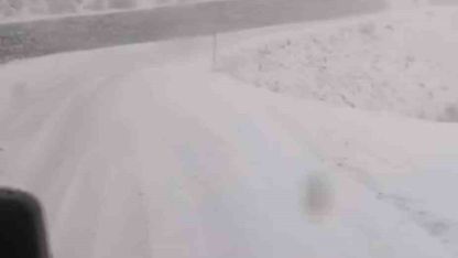 Tunceli’de, kar yağar yağmaz mücadele başladı