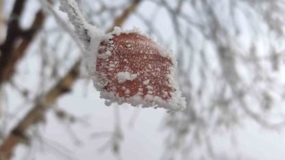 Hava sıcaklığının eksi 14,6 dereceye düştüğü Göle buz tuttu