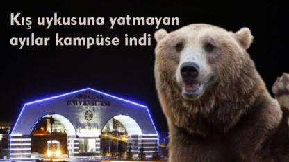 Ardahan Üniversitesinde “AYI” alarmı
