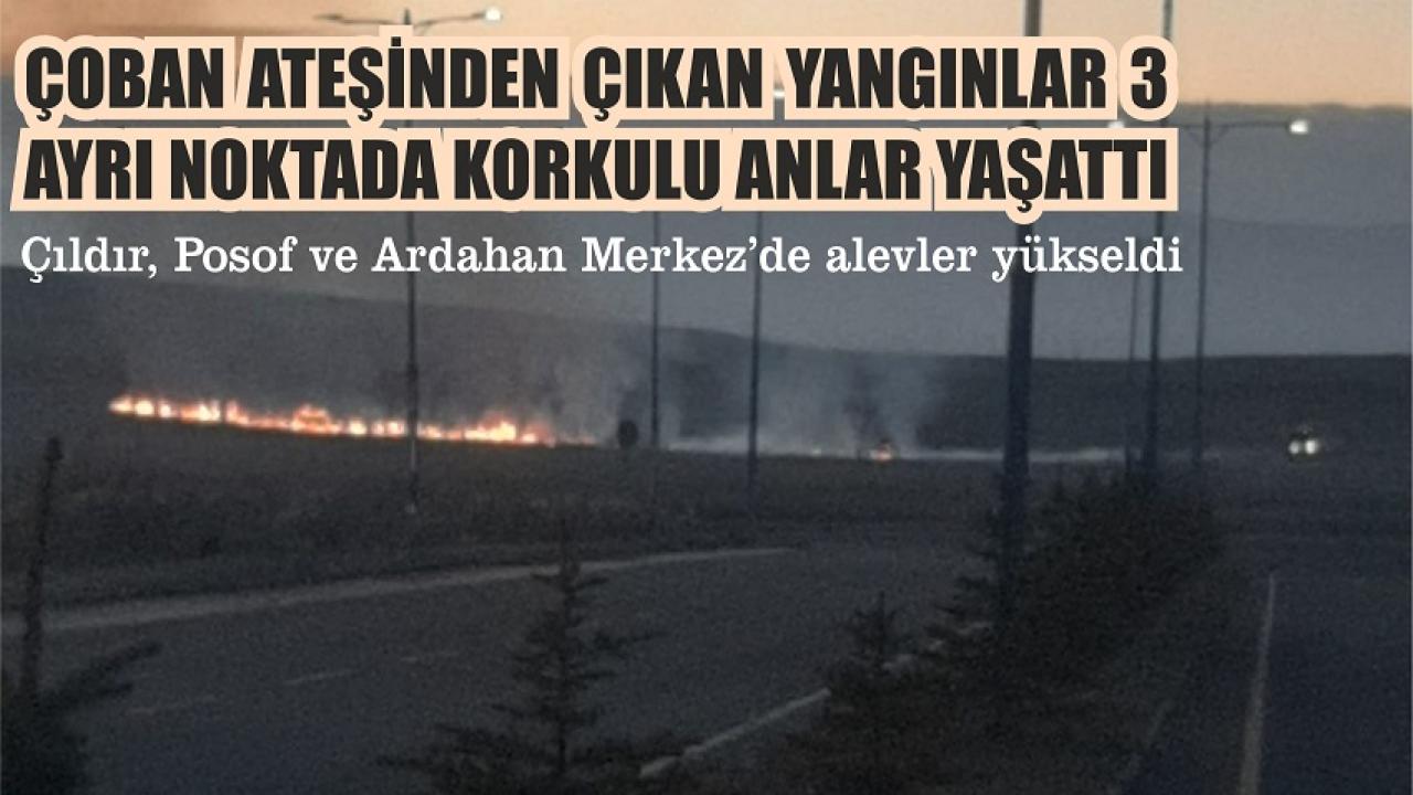 Ardahan’da 3 ayrı bölgede yangın çıktı