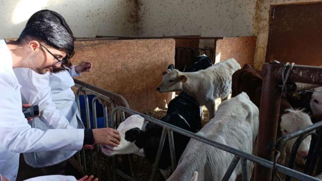 ARÜ’lüler Van’da sığır yetiştiriciliği eğitimi aldı