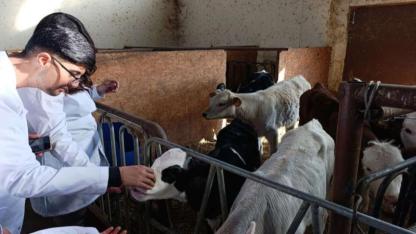 ARÜ’lüler Van’da sığır yetiştiriciliği eğitimi aldı