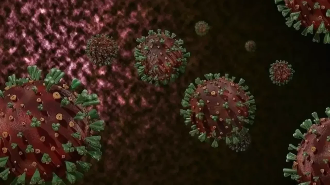 DSÖ'den M çiçeği uyarısı: Kıtayı aştı, hızla kontrol altına alınmalı