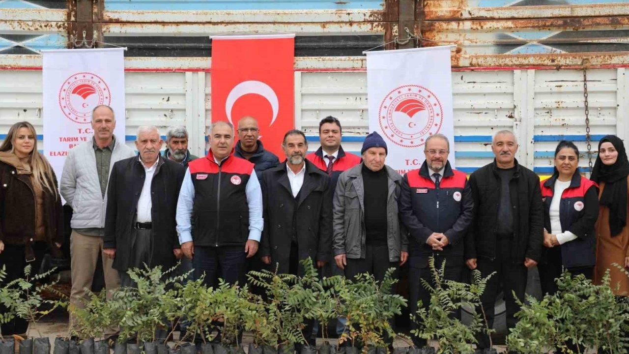 Elazığ’da sumak üretimi artıyor