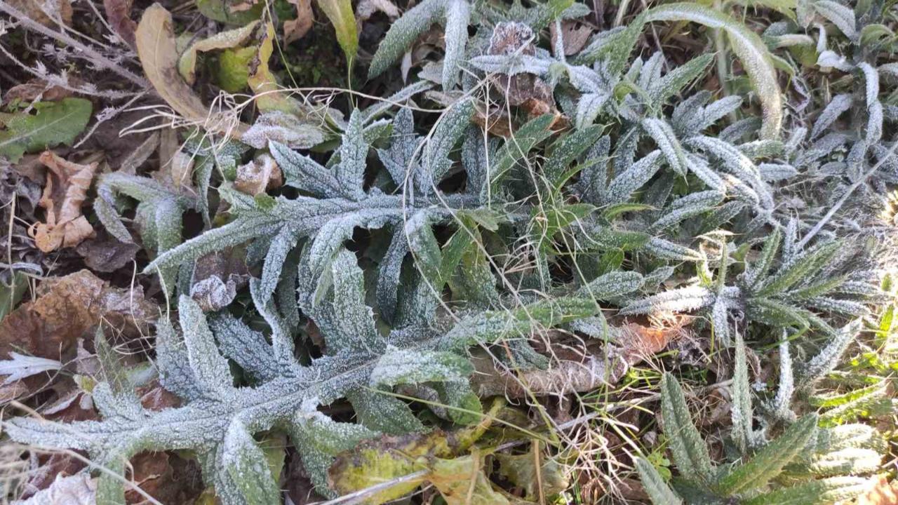 Göle Türkiye’nin en soğuk yerleşim yeri oldu