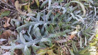 Göle Türkiye’nin en soğuk yerleşim yeri oldu