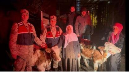 Jandarma çalınan hayvanları sahibine teslim etti