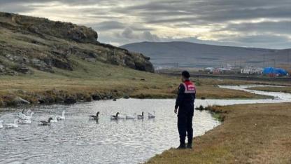 Jandarma Paylaştı, Ardahan güzelliğiyle sosyal medyayı büyüledi