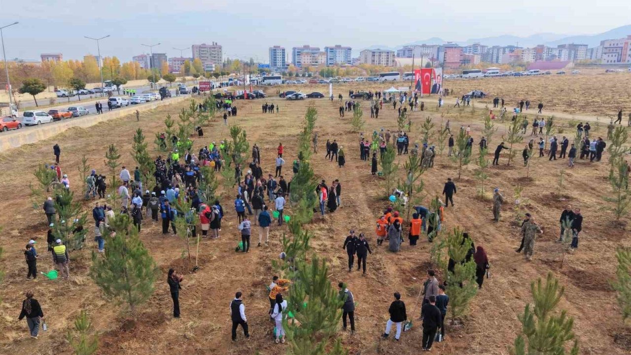 Muş’ta 20 bin fidan toprakla buluşturuldu