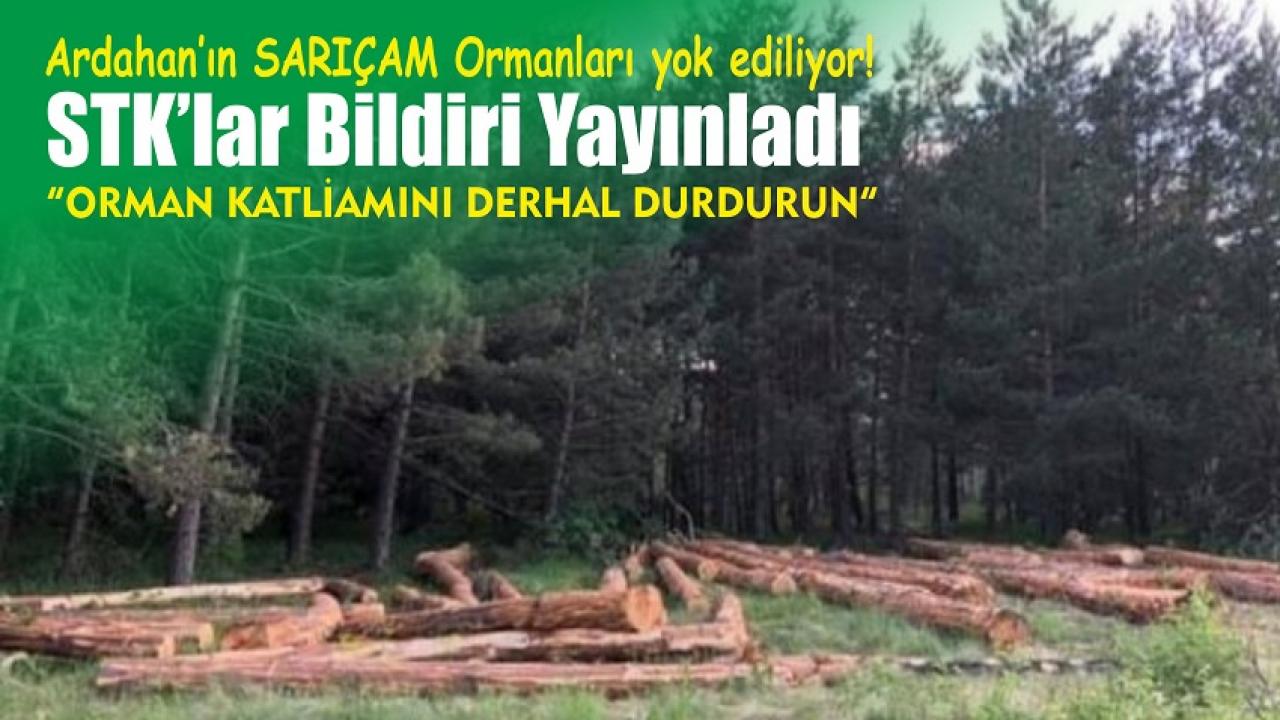 Orman katliamına STK’lardan sert tepki
