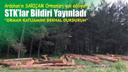 Orman katliamına STK’lardan sert tepki