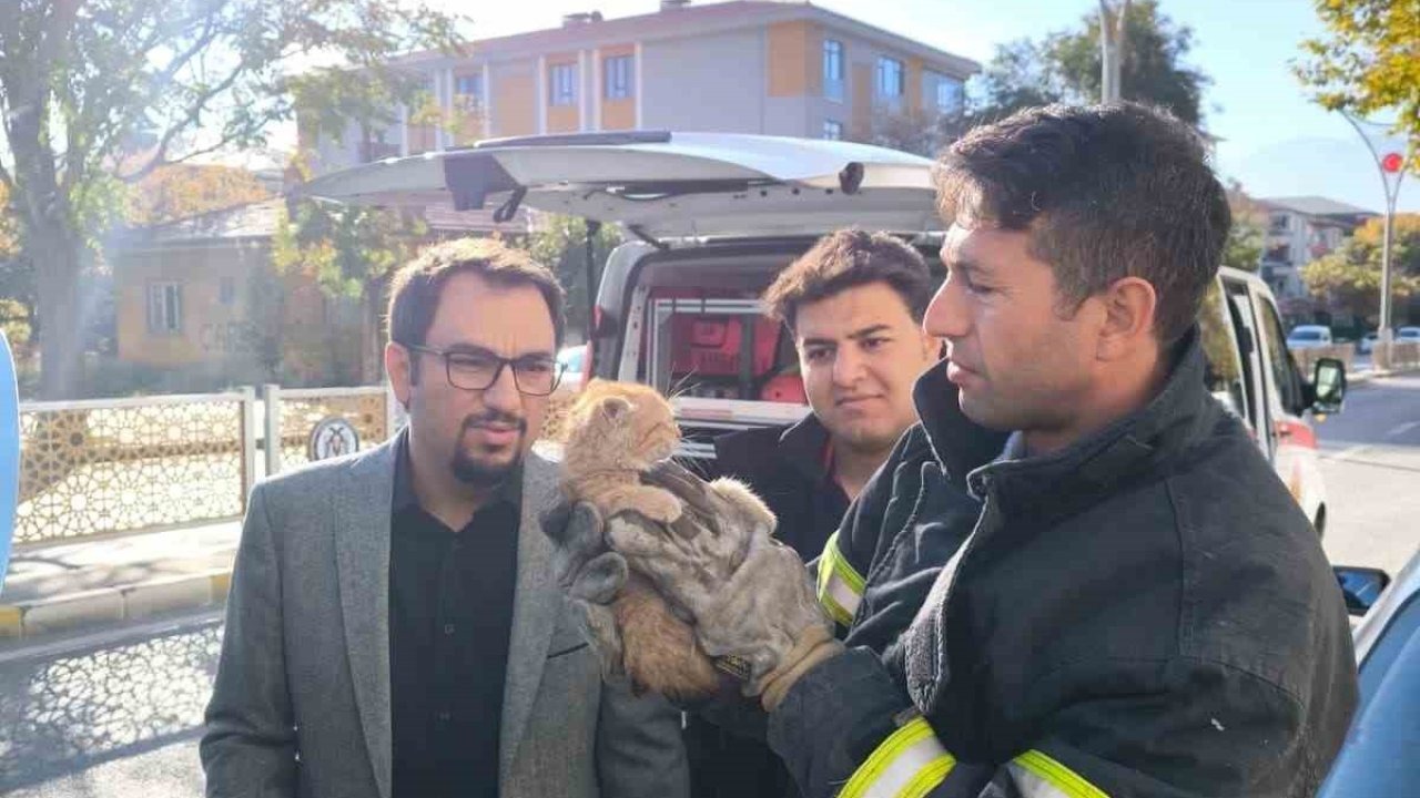 Otomobilin motor kısmına sıkışan yavru kedi itfaiye ekiplerince kurtarıldı