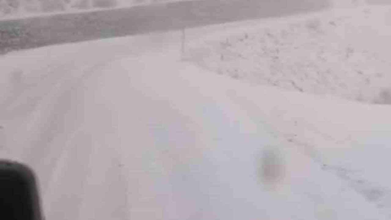 Tunceli’de, kar yağar yağmaz mücadele başladı