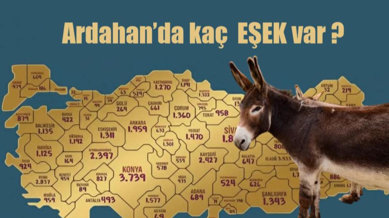 Türkiye’nin Eşek Haritası Çıkartıldı…