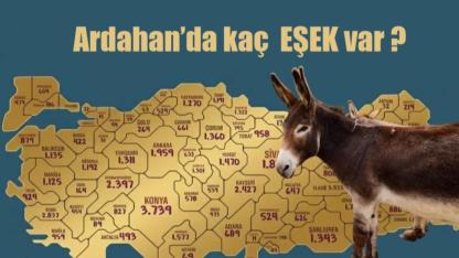 Türkiye’nin Eşek Haritası Çıkartıldı…