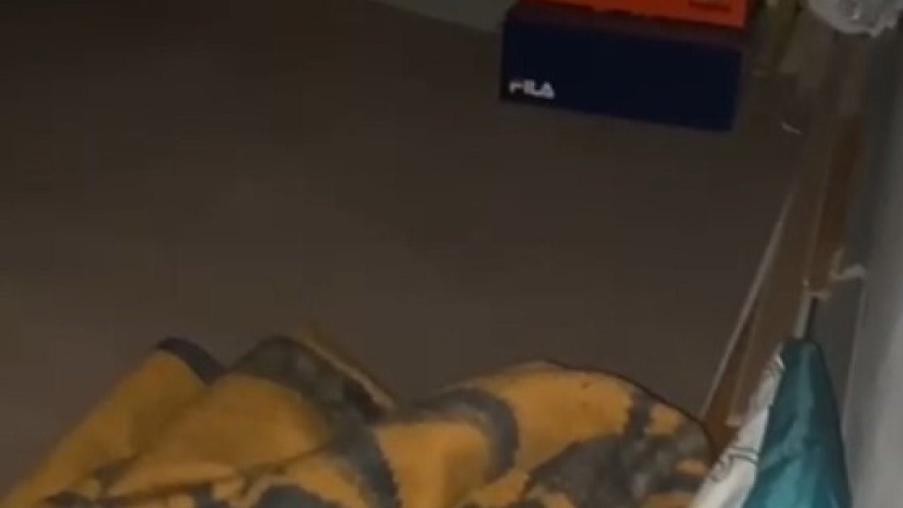 Van’da 12,5 yıl kesinleşmiş hapis cezası bulunan müdür gizli bölmede yakalandı