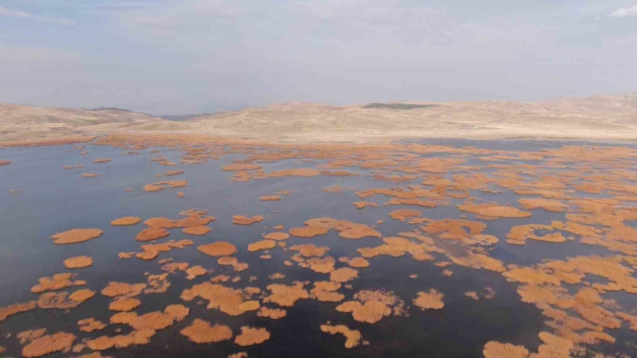 Van’da tarih ve doğa buluşması: Sonbaharın son haftasında kartpostallık manzaralar oluştu