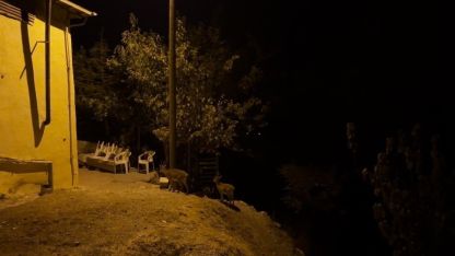 Dağ keçileri evlerin arasında yiyecek ararken görüntülendi