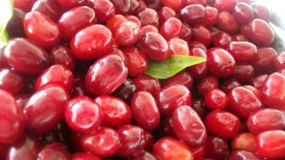 Soğuk algınlığına doğal çözüm: Kızılcık