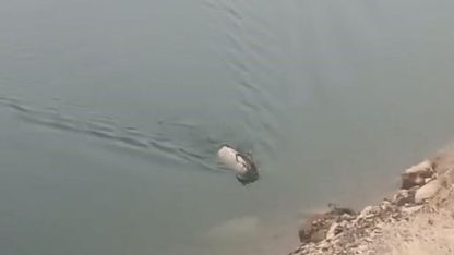 Sarp kayalıkların ustası baraj gölünde yüzerken görüldü