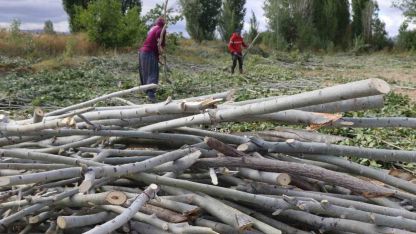 Kömür pahalı, odun umut: Erzincan kırsalında kış mesaisi