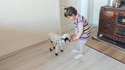 Annesinin reddettiği kuzuya 3 yaşındaki Ezo’nun şefkati yürekleri ısıttı
