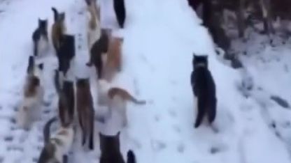 Soğuk kış günlerinde yürek ısıtan görüntüler Erzincan’dan