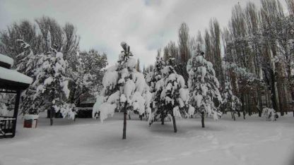 Van’da karla gelen güzellik: Ağaçlar kartpostallık manzaralar oluşturdu