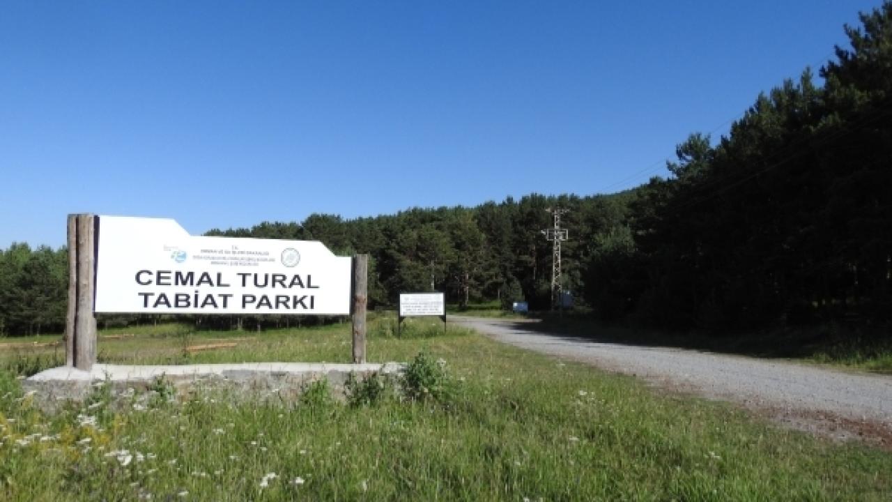 Ardahan Valiliği alarm verdi! Parka gizlice girenlere ağır yaptırım