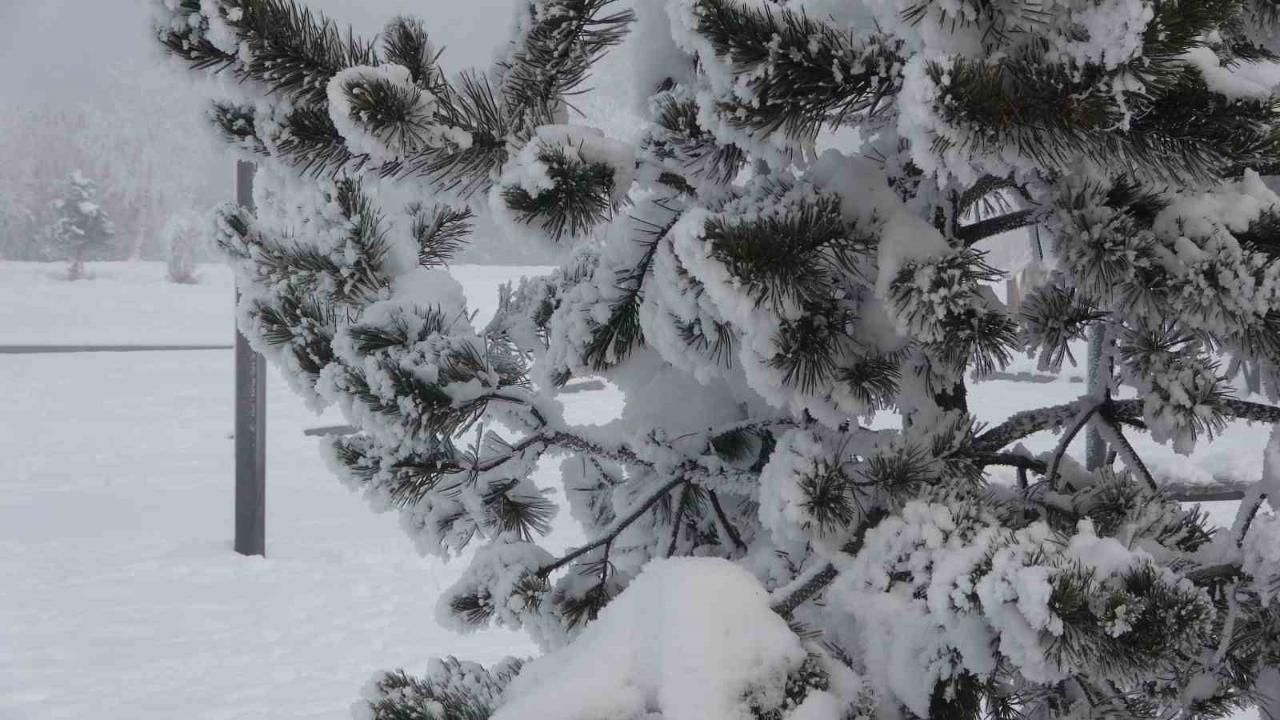 Ardahan’da dondurucu soğuklar etkisini artırdı: Ağaçlar kırağı tuttu