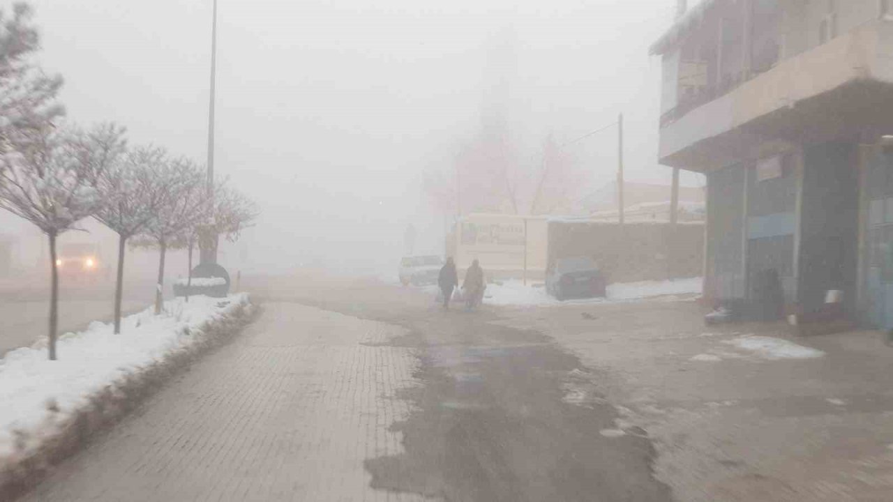 Başkale’de sis etkili oldu